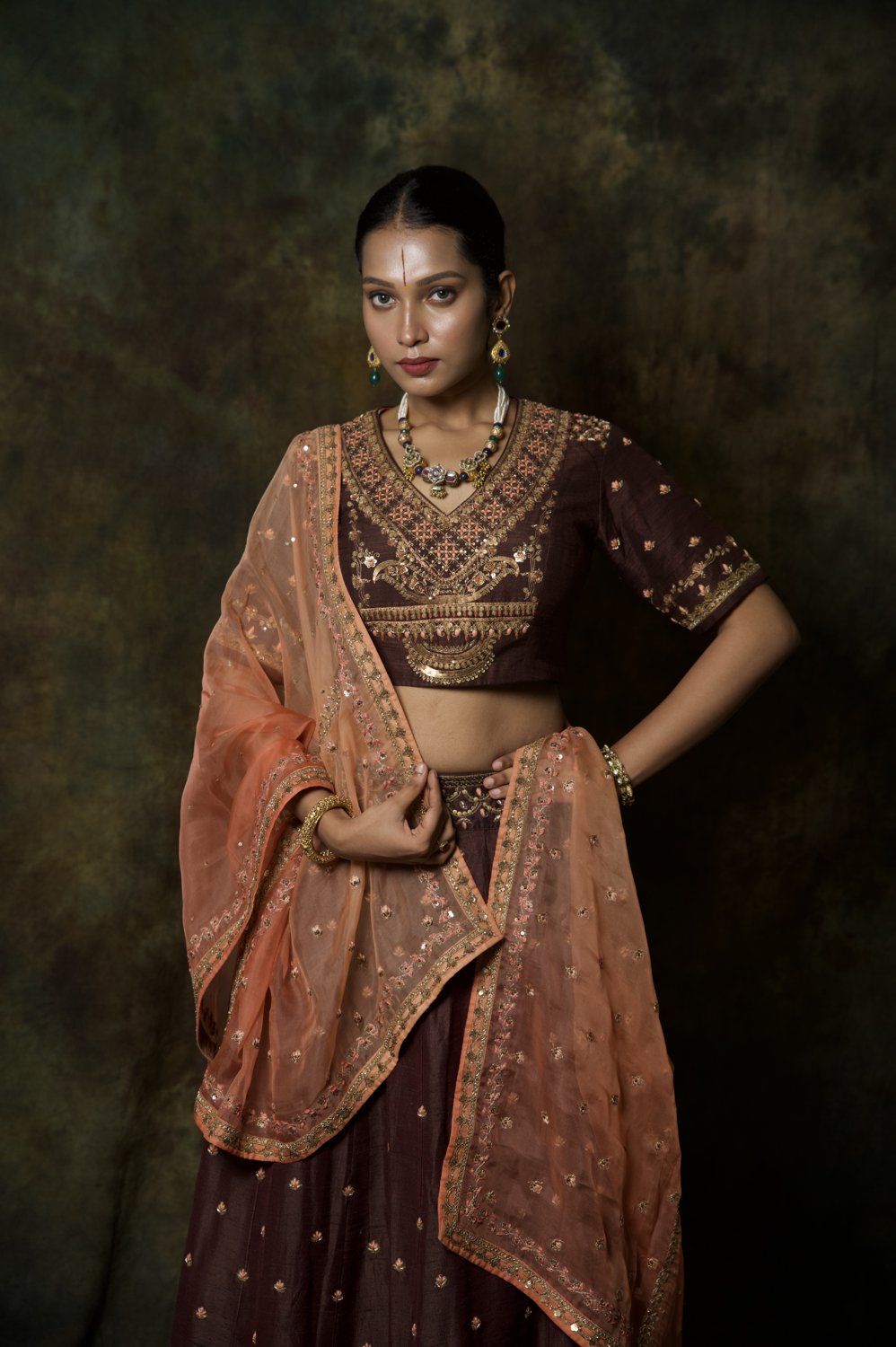 Coffee Brown Zardosi Lehenga